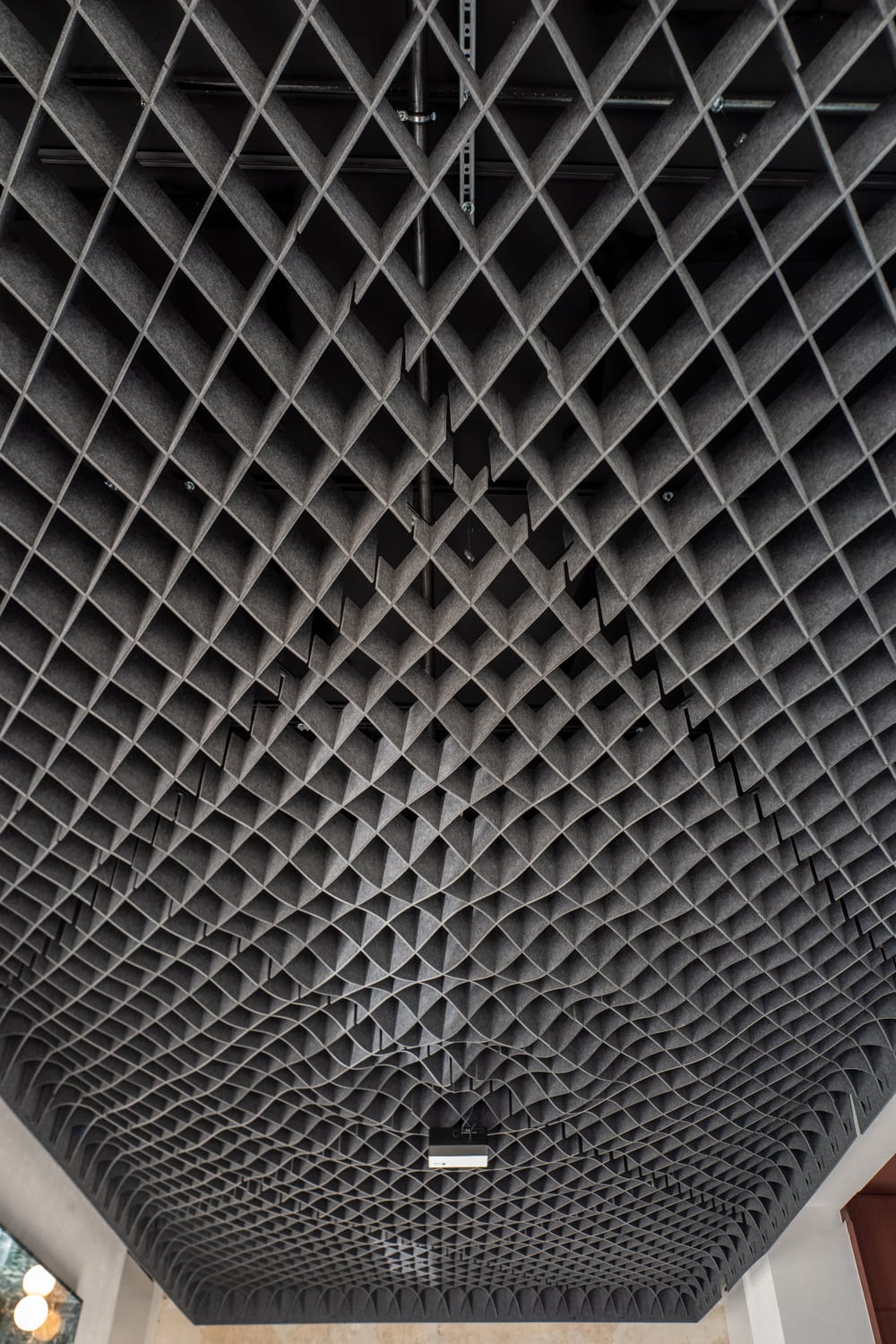 The black coffered ceiling of the hall.